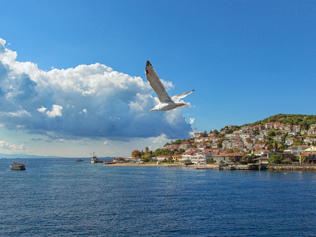 HEYBELİADA - 5