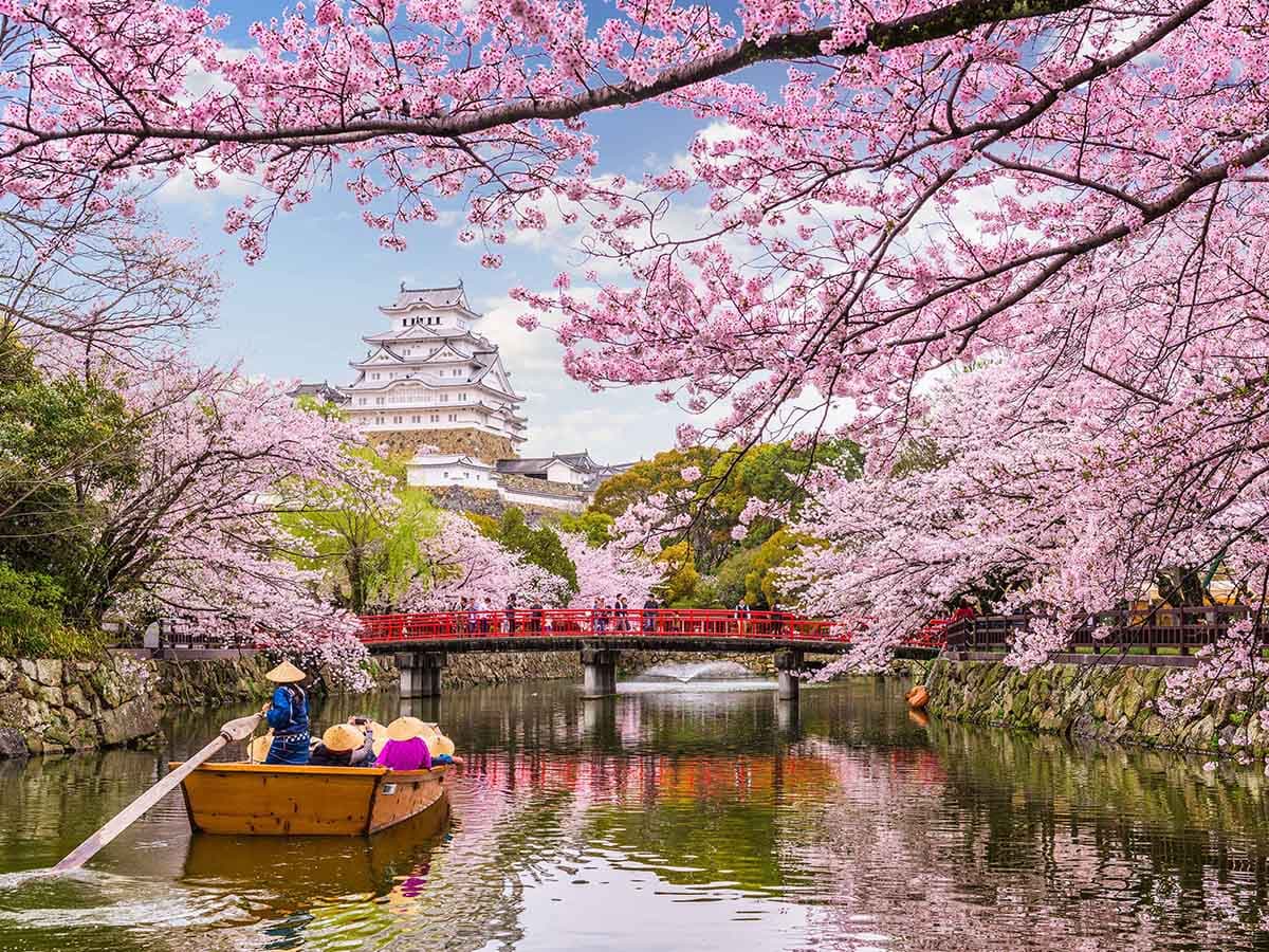 JAPONYA - BUSİNESS - 3