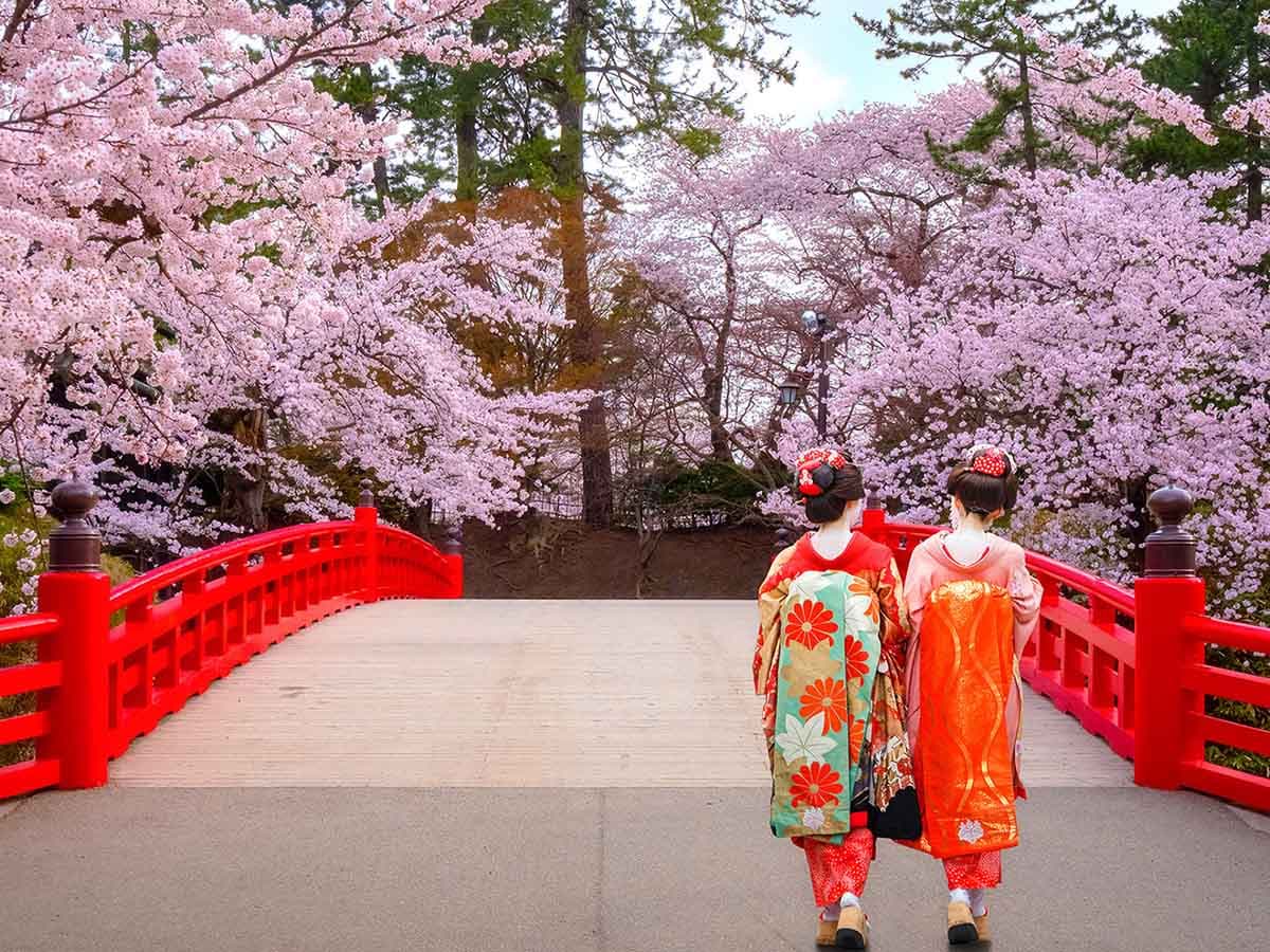 JAPONYA - BUSİNESS - 4