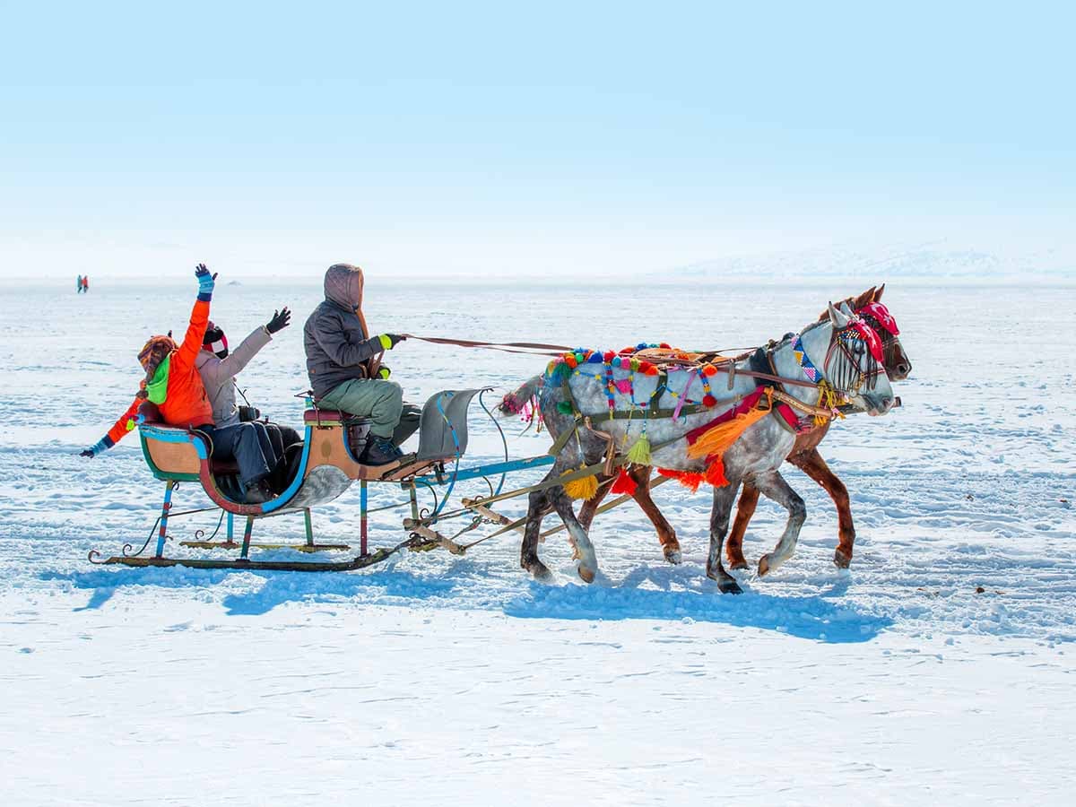 KARS VE ERZURUM - 6