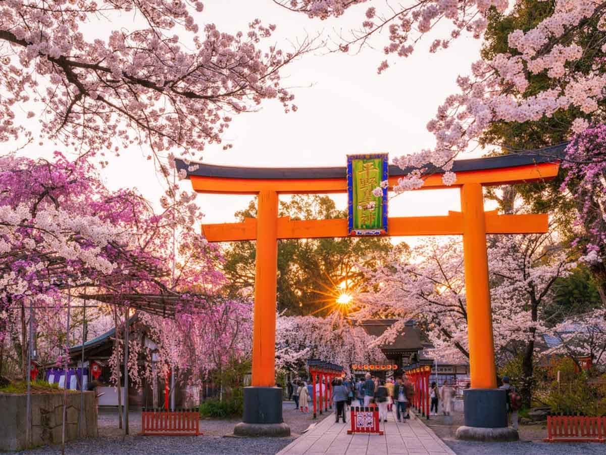 JAPONYA
