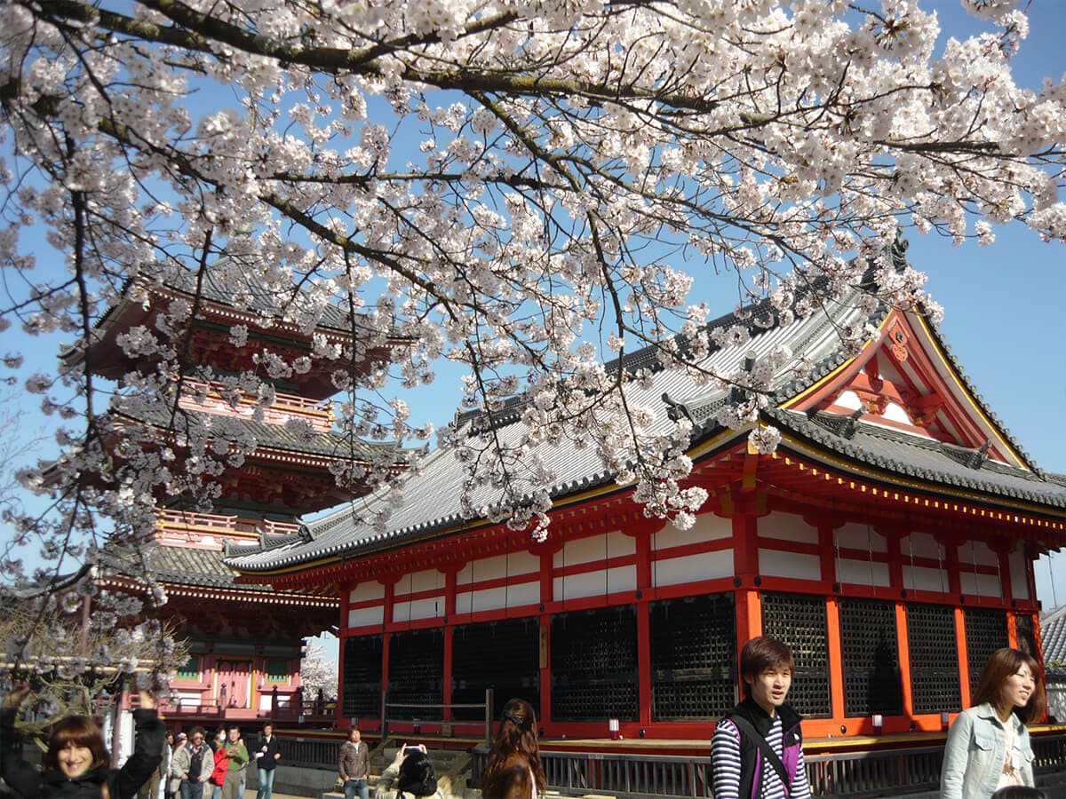 JAPONYA - 6