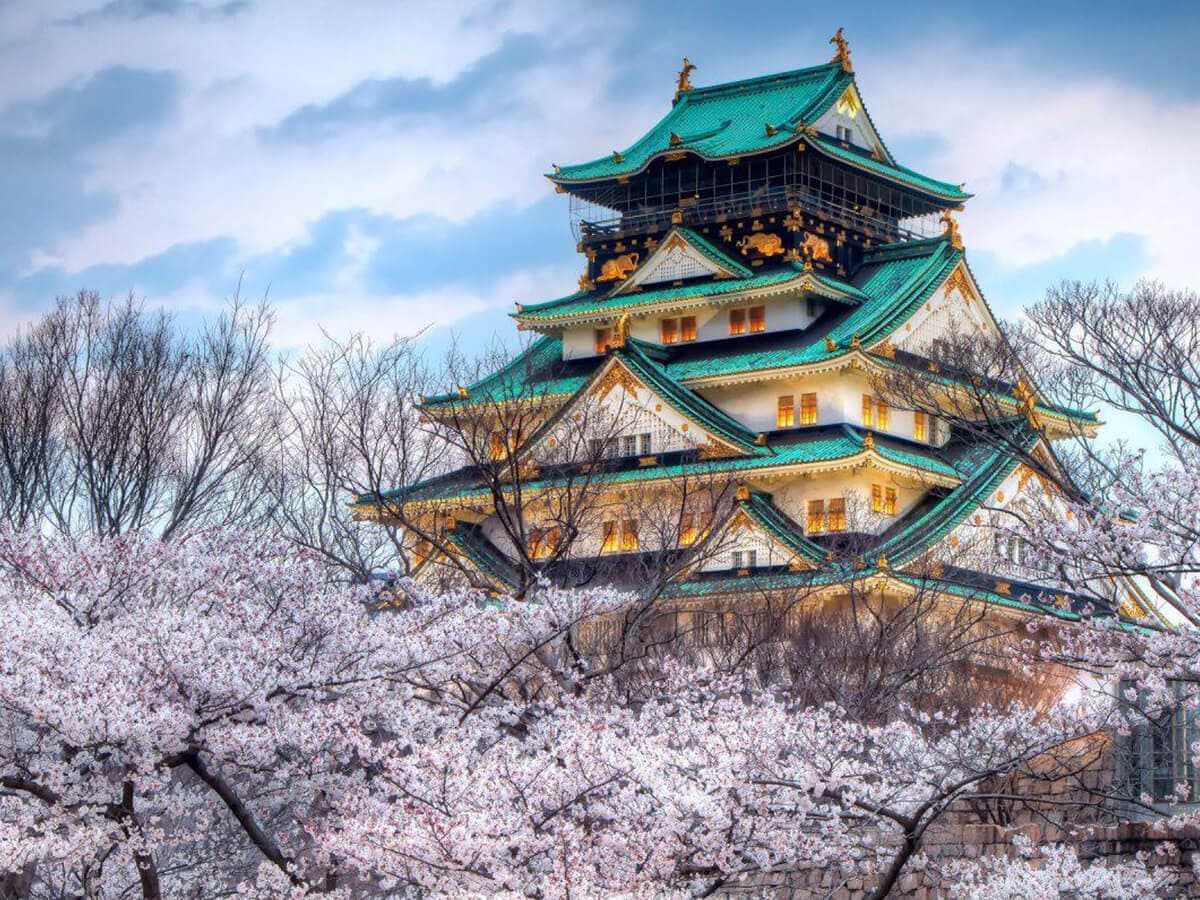 JAPONYA - BUSİNESS - 7