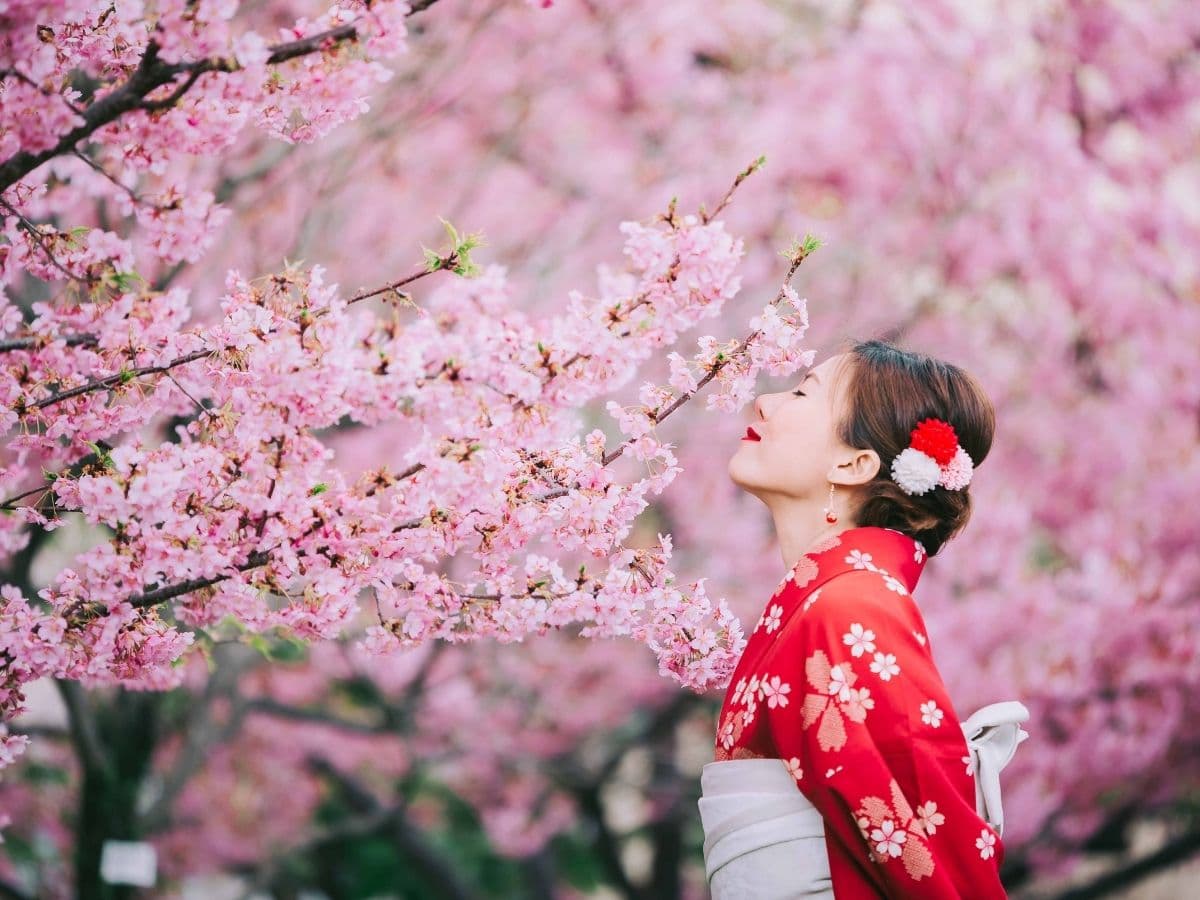 SAKURA ZAMANI JAPONYA - 13
