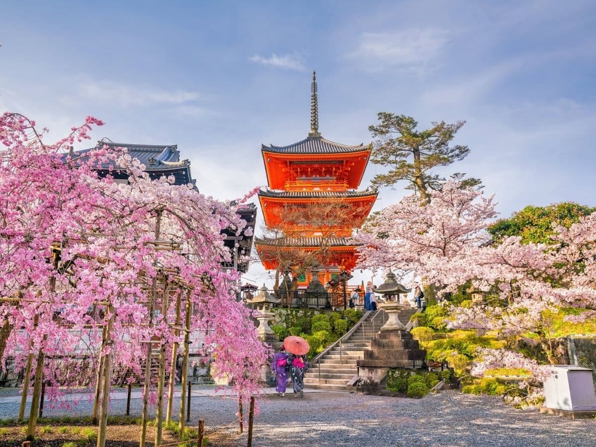 JAPONYA - BUSİNESS - 14