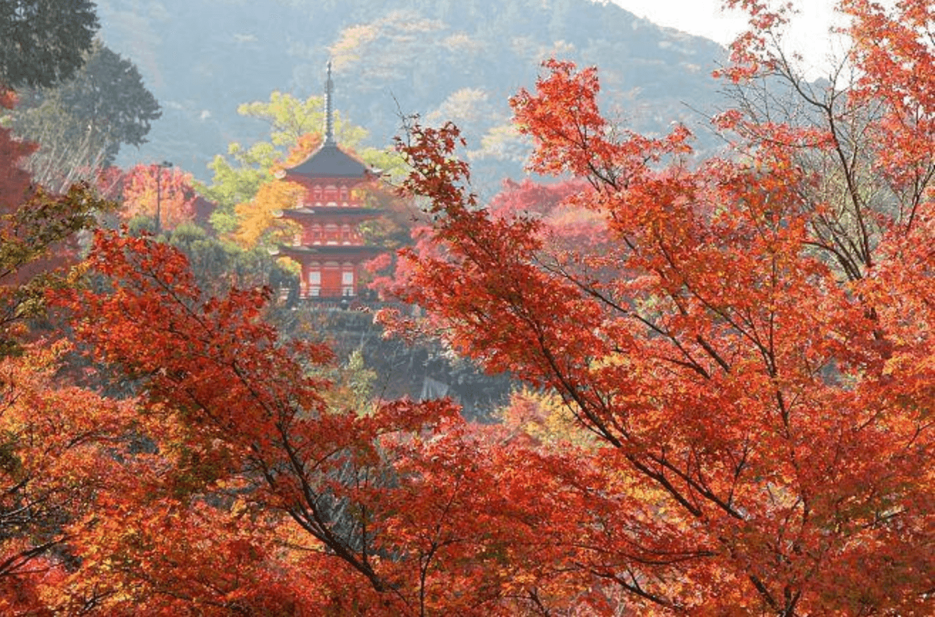 KOYO ZAMANI JAPONYA (ANA İLE) - 4