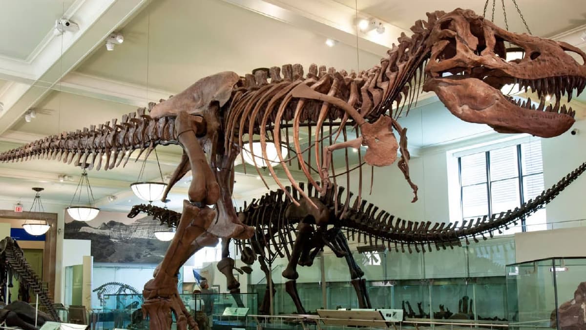 KUTUP YILDIZI İLE NEW YORK’TA MÜZİK VE   SANAT - 5