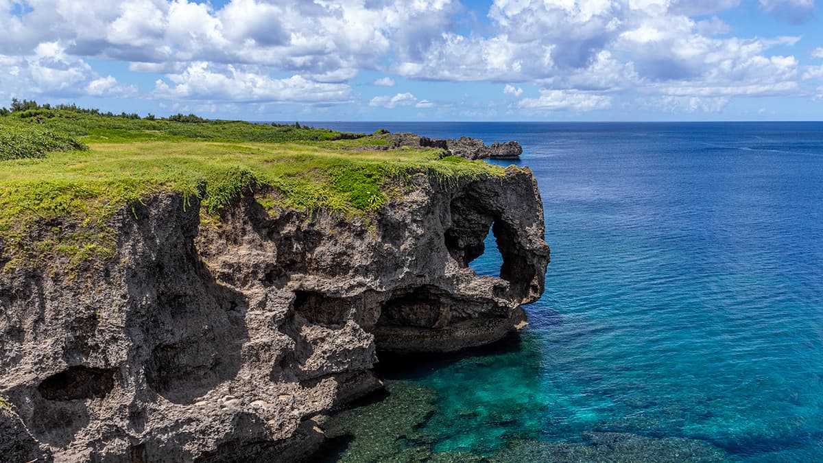LONGEVITY, UZUN YAŞAM, ZEN VE ARMONİ : OKINAWA’DA LONGEVITY VE SAKURA - 5