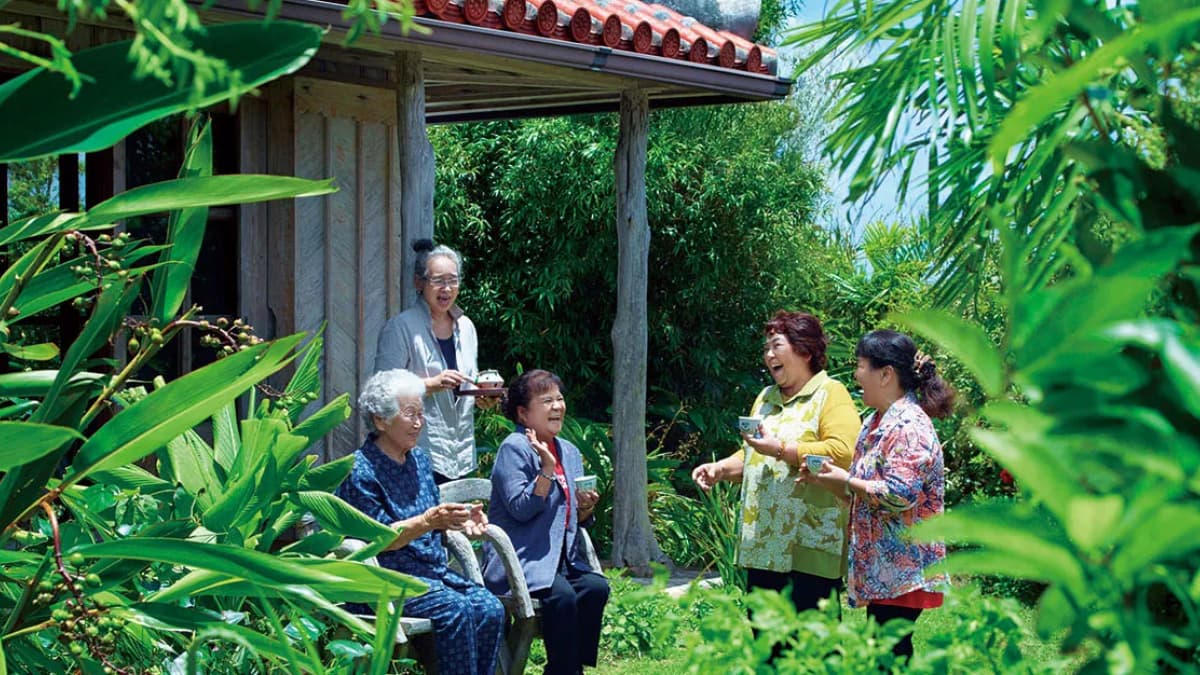LONGEVITY, UZUN YAŞAM, ZEN VE ARMONİ : OKINAWA’DA LONGEVITY VE SAKURA - 2