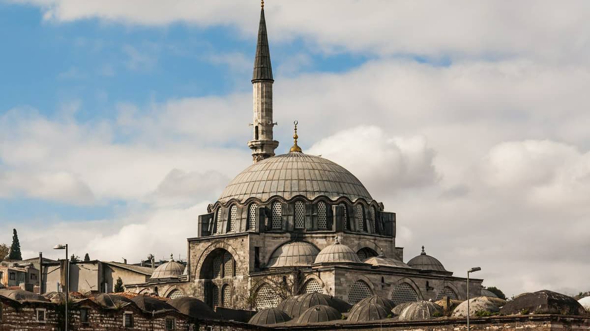 EDİRNE - İĞNEADA - LONGOZ ORMANLARI - 2