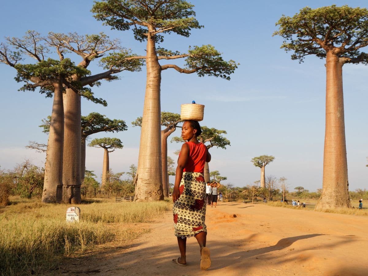 MADAGASKAR