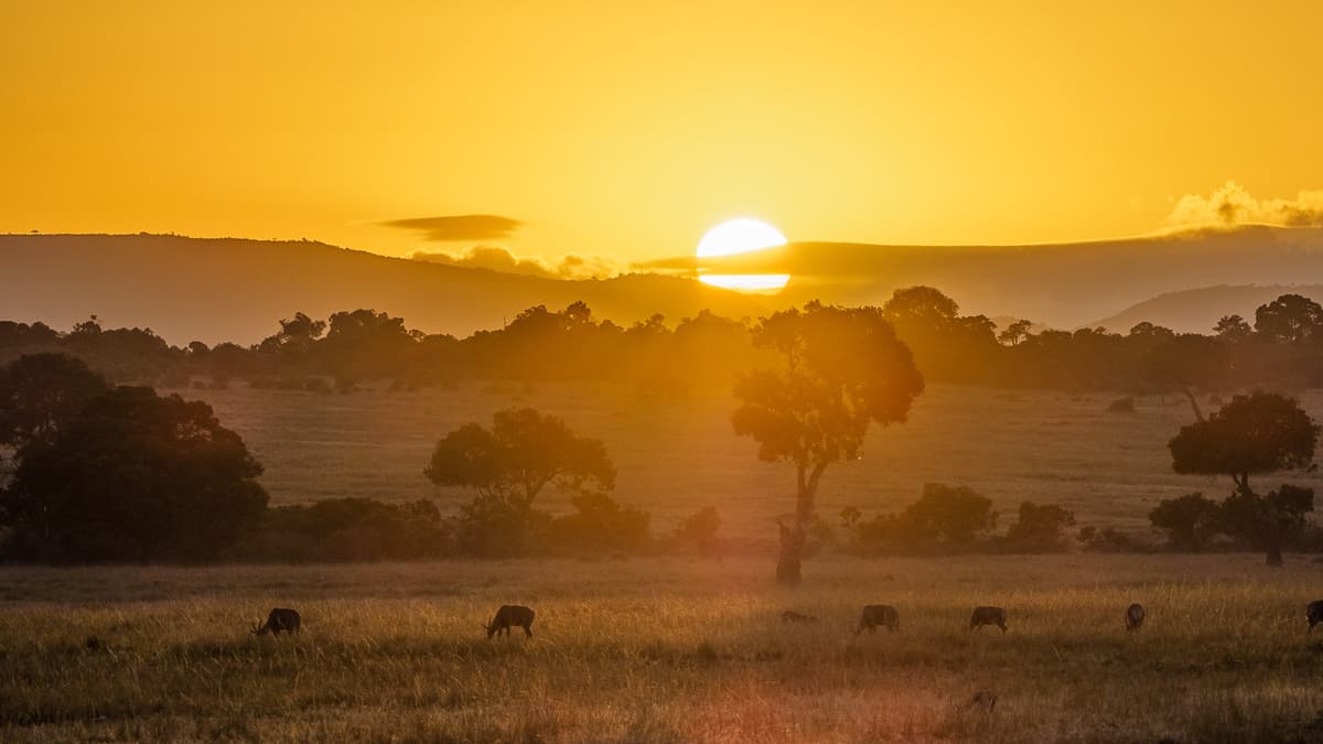 “Serengeti’de FOUR SEASONS SAFARI LODGE’da konaklama ayrıcalığıyla” BÜYÜK AFRİKA SAFARİSİ KENYA - TANZANYA - ZANZİBAR - 5