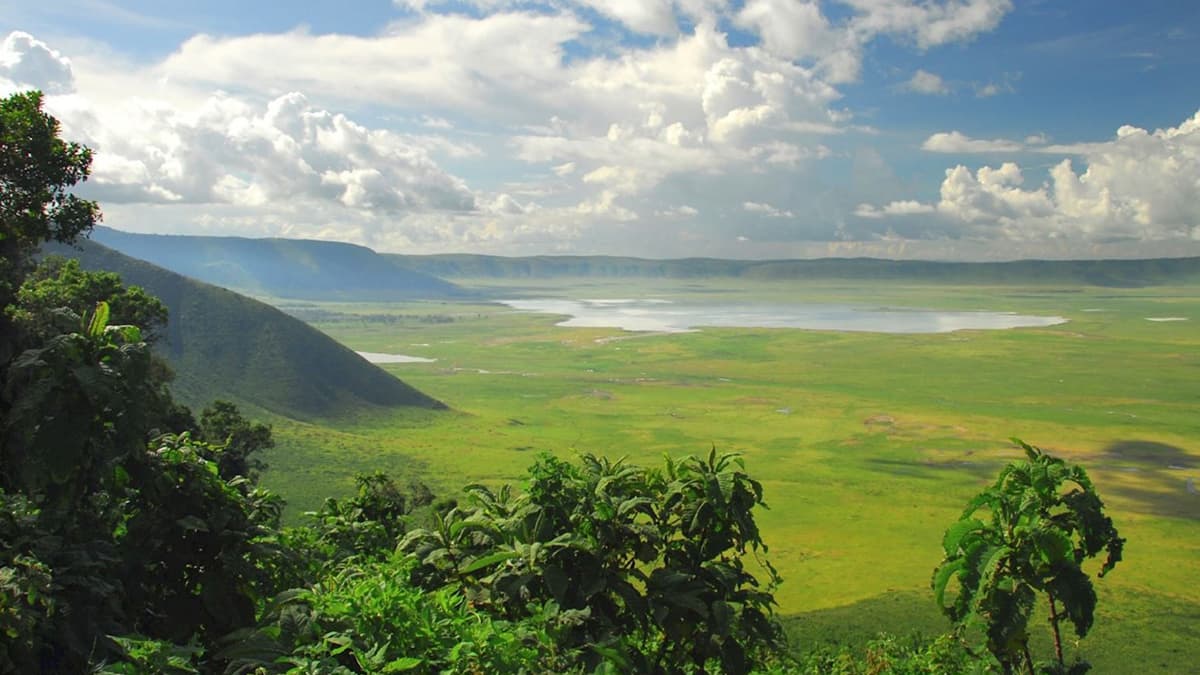 “Serengeti’de FOUR SEASONS SAFARI LODGE’da konaklama ayrıcalığıyla” BÜYÜK AFRİKA SAFARİSİ KENYA - TANZANYA - ZANZİBAR - 1